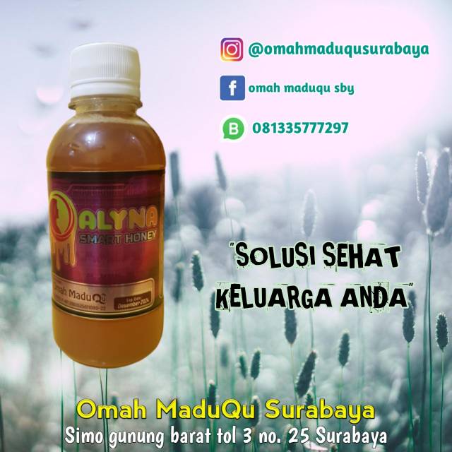 

Madu Cerdas "ALYNA" Alfarabee