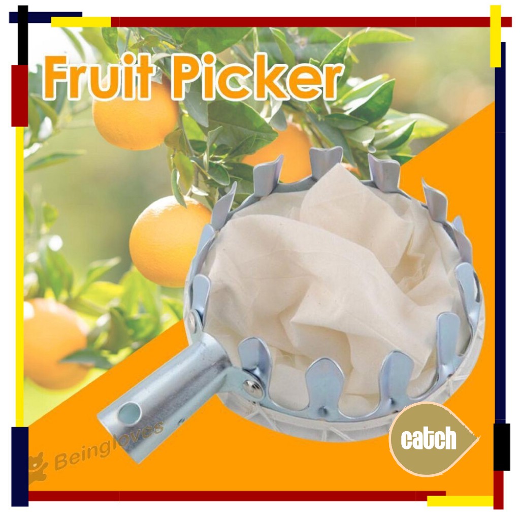 Alat Pemetik Buah Metal Fruit Picker Alat Bantu Petik Buah Uk 14CM