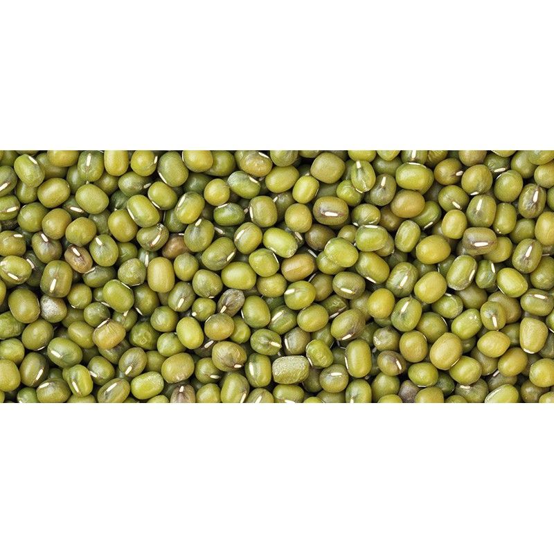 Kacang Hijau Import Thailand Grade A (500 gram) / Mung Bean