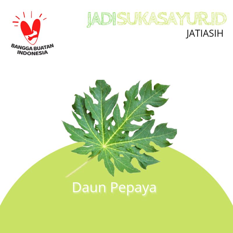 

Daun Pepaya Segar 1 Ikat - Sayur Segar Bekasi