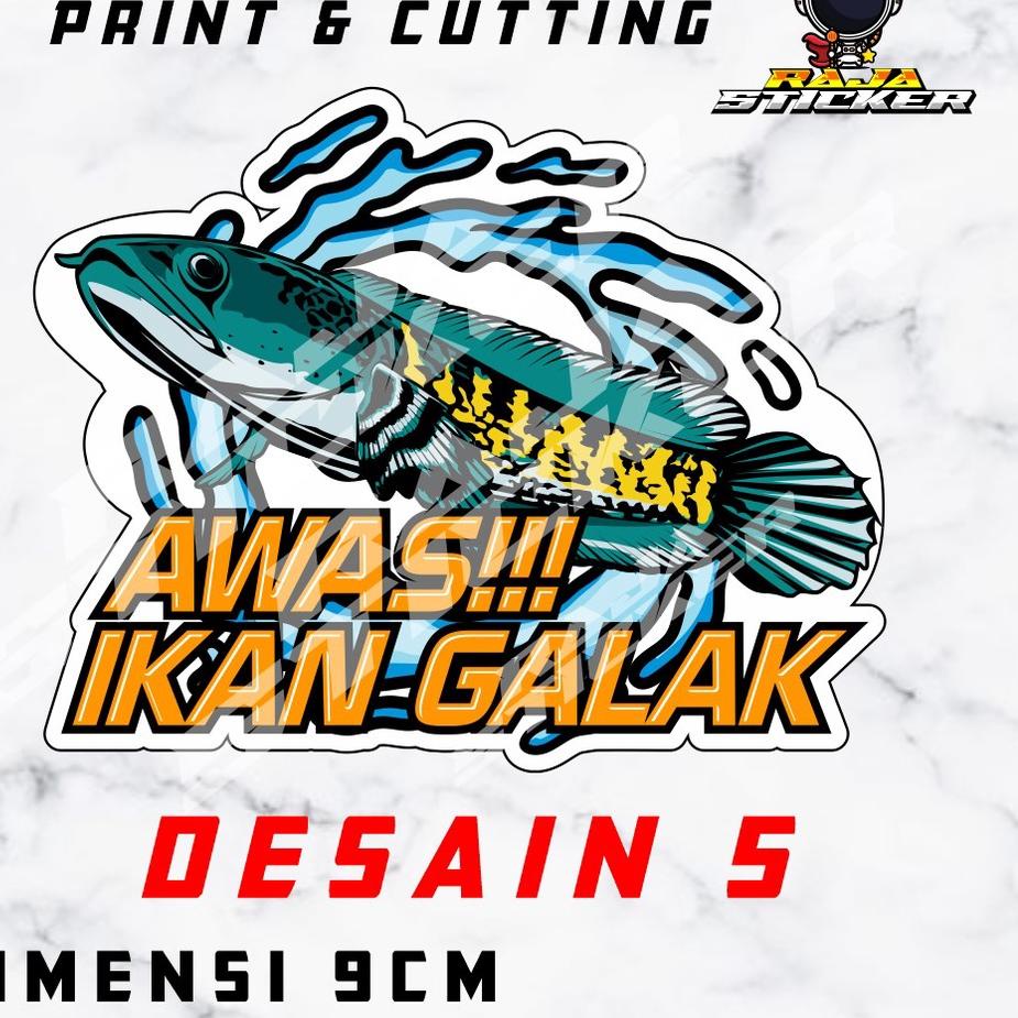 ✅【Harga Hemat】❤Stiker Aquarium Ikan Galak Awas Ikan Predator Channa Snake head ikan channa Maru pulc
