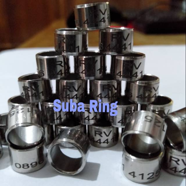 Ring Burung Baja Putih atau Stainless Merpati