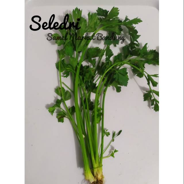 

Seledri Segar 100 gr