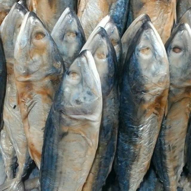 

IKAN GEMBUNG PEDA 500 GR MURAH