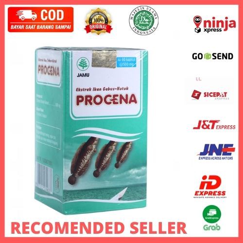 Procena Kapsul Ekstrak Ikan Gabus Ikan Kutuk Herbal Maag Kronis Asam Lambung Pasca Operasi Indonesia