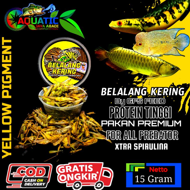 Belalang Kering Yellow Pigment Booster Warna Dot Bunga