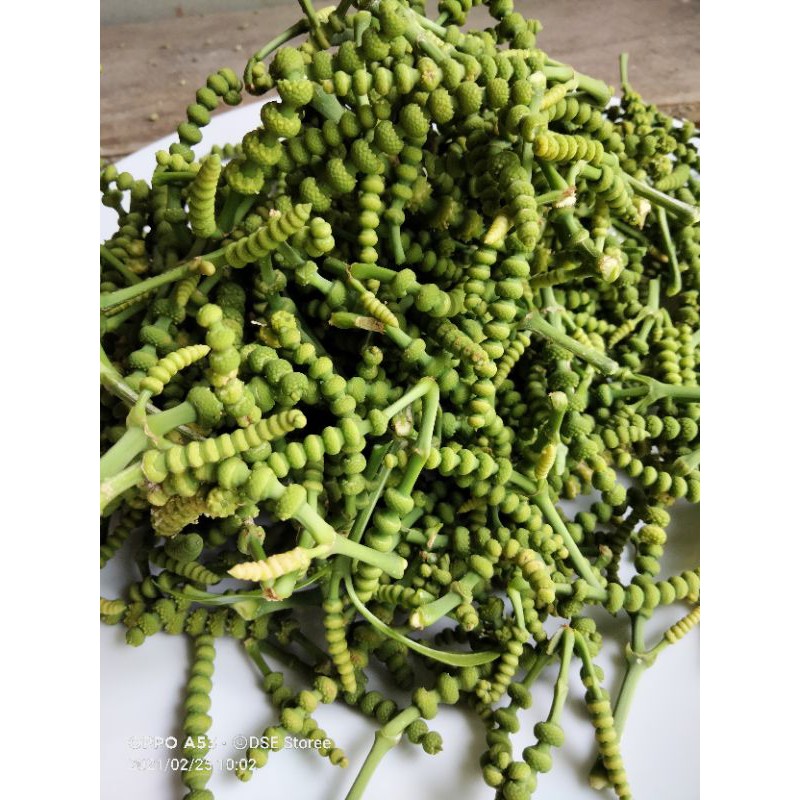 500gr Bunga Uceng suceng bunga mlinjo melinjo