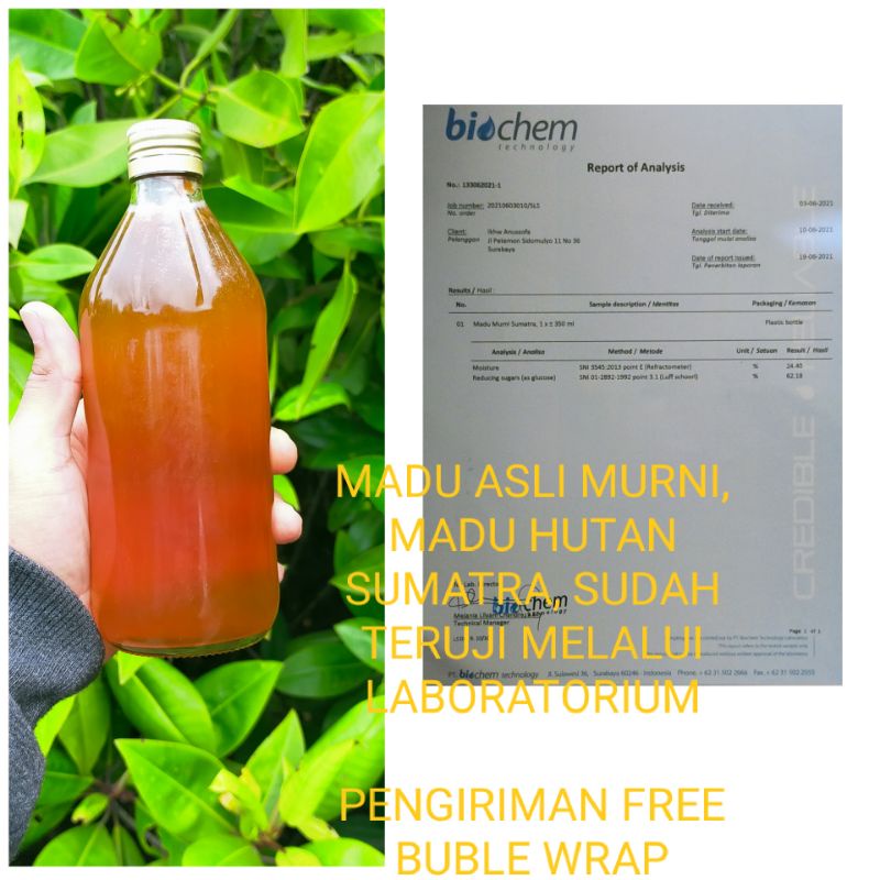 

MADU ASLI MURNI HUTAN SUMATRA