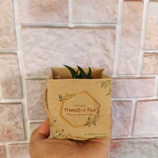 

(TERMURAH) PAKET SOUVENIR KAKTUS SUKULEN+PAPERBAG