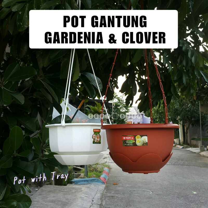 Jual Terrabyta Pot Gantung Lion Star Floria Gardenia Clover Pot Unik Kekinian Minimalis