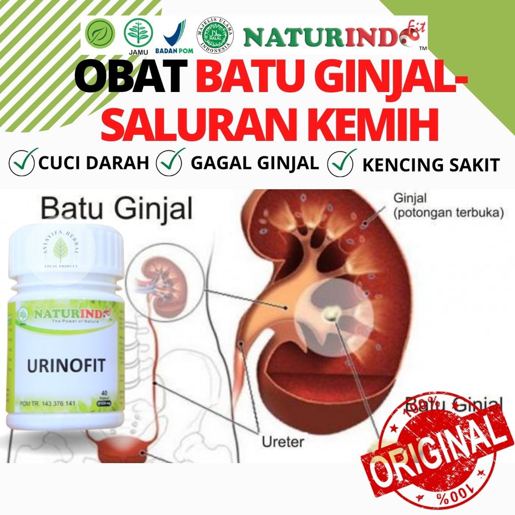 Obat Batu Ginjal Kencing Batu Salurah Kemih Anyang anyangen Ampuh 100% Original BPOM Urinofit Naturi