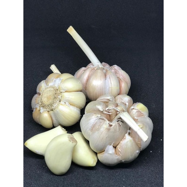 

Bawang putih sico / sinco / honan murah 1kg