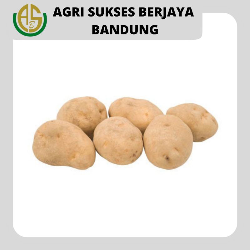 Jual Kentang Dieng Fresh 1 Kilogram Shopee Indonesia