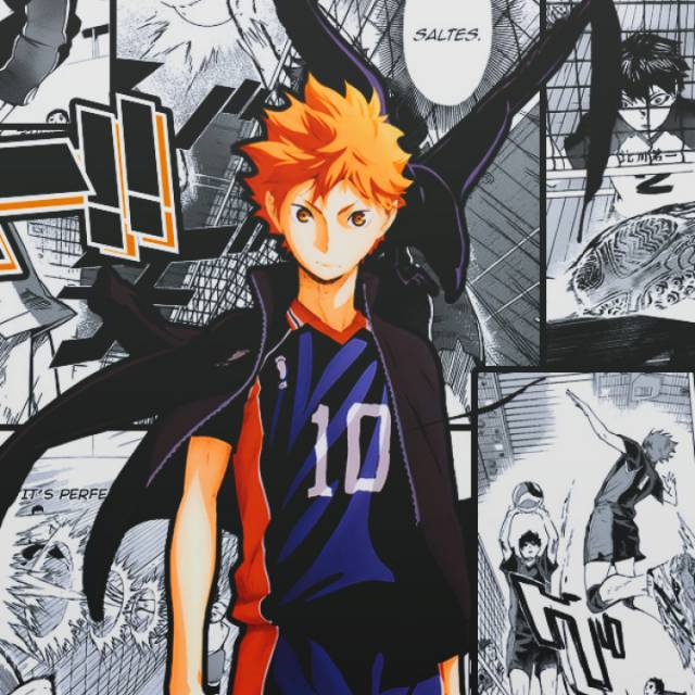 DVD anime haikyuu