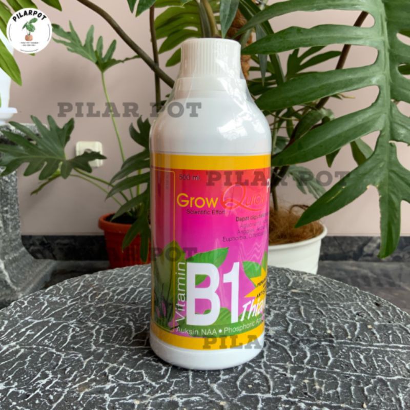 GROW QUICK VITAMIN B1 PLUS 500 ML PUPUK HORMON AKAR KEMASAN PABRIK - B1 GROW QUICK BESAR