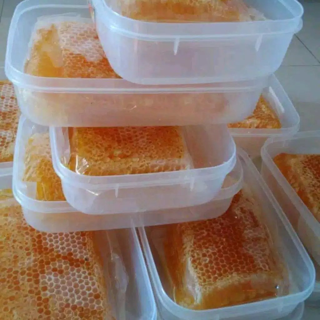 Madu Sarang Alami Asli Sarang Lebah Asli 100% Madu Melifera Premium Netto 250g