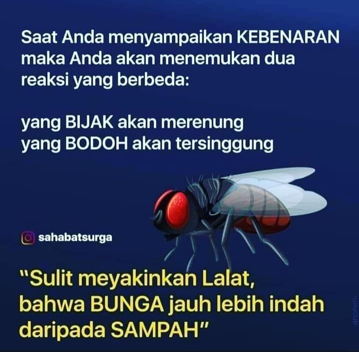 12pcs Cetakan Donat Oven Bronis Cincin Almini Kecil