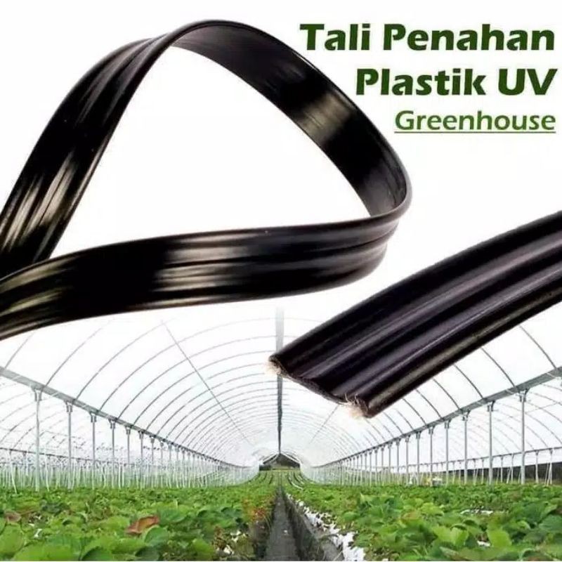 Tali Penahan Plastik UV Greenhouse Permeter
