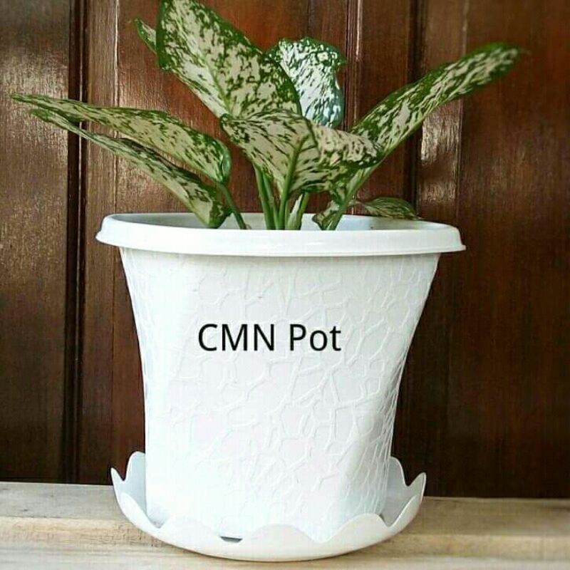 Pot Bunga Twister 20