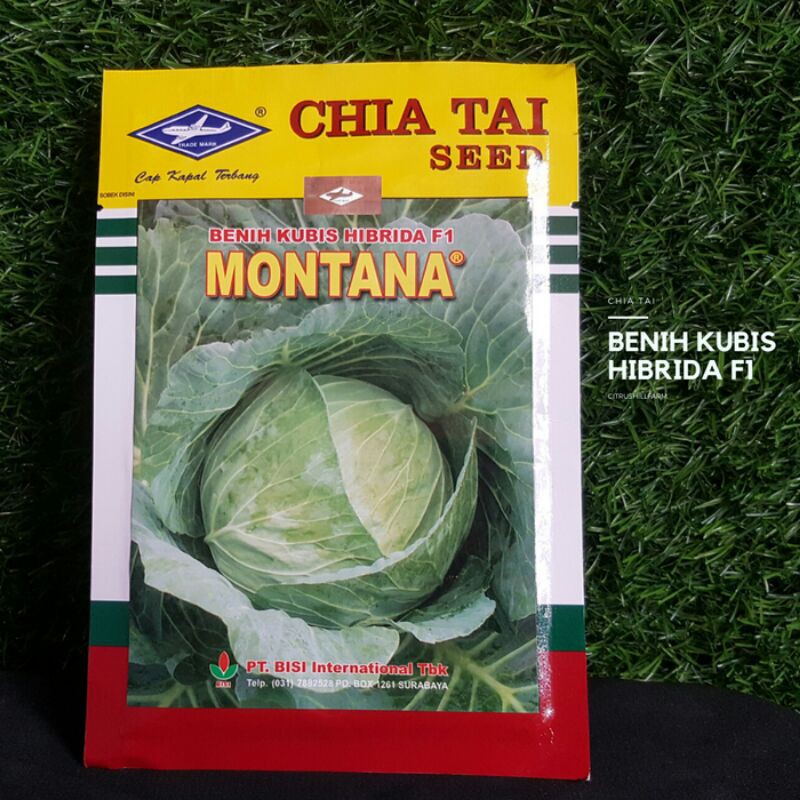 Benih Kubis Hibrida F1 Montana - 15gr
