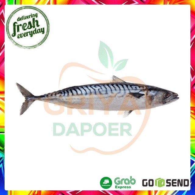

IKAN KEMBUNG BANJAR SEGAR - 500 GRAM