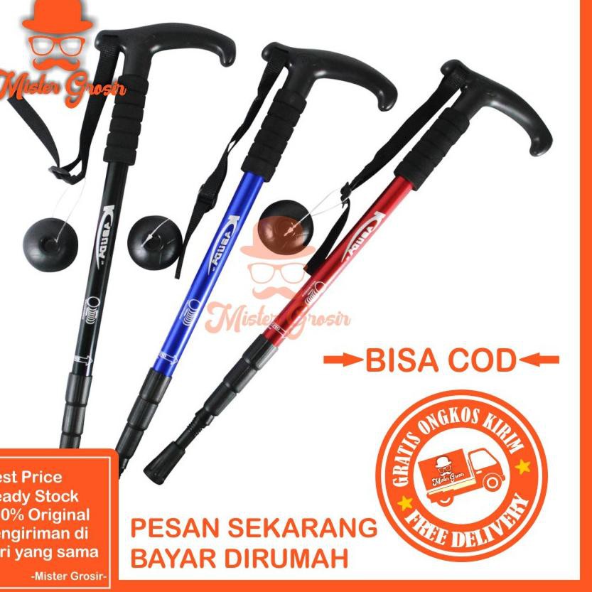 trekking pole price