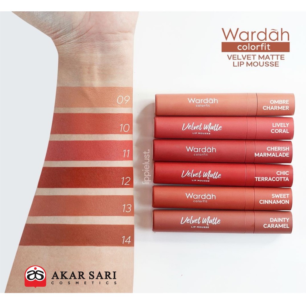 WARDAH COLORFIT VELVET MATTE LIP MOUSSE (NEW SHADE 1-14) | Shopee Indonesia