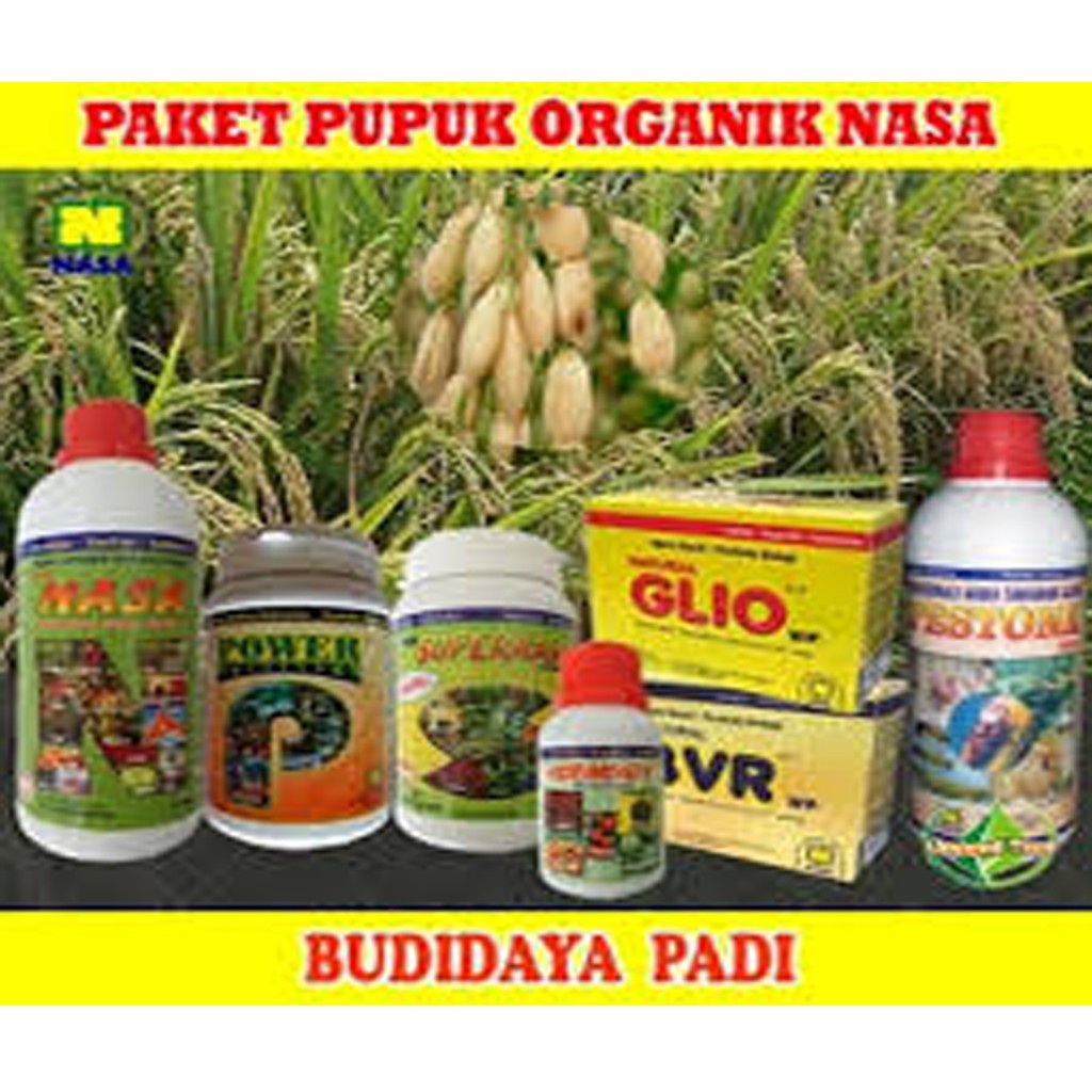 Paket Pupuk Budidaya Padi Organik Nasa