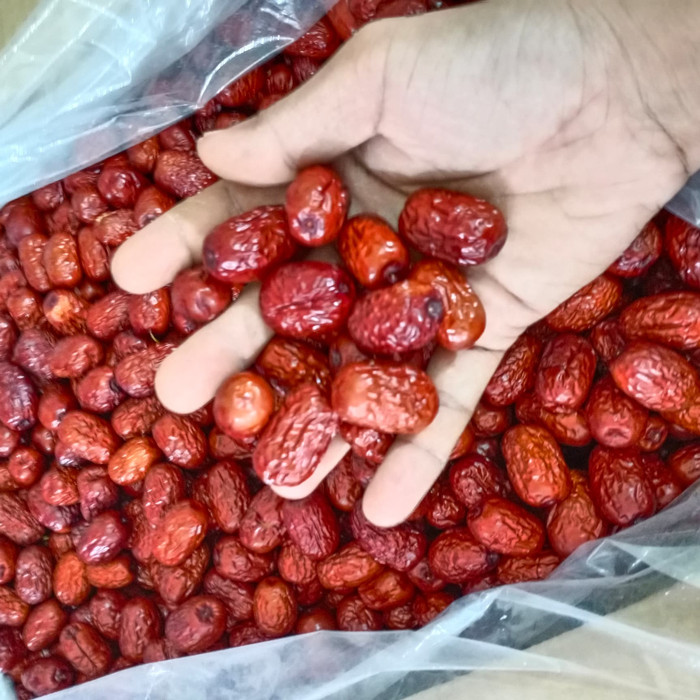 

Roxx.ea - .ea - .ea - Angco Super / Kungco 1Kg - Sedang