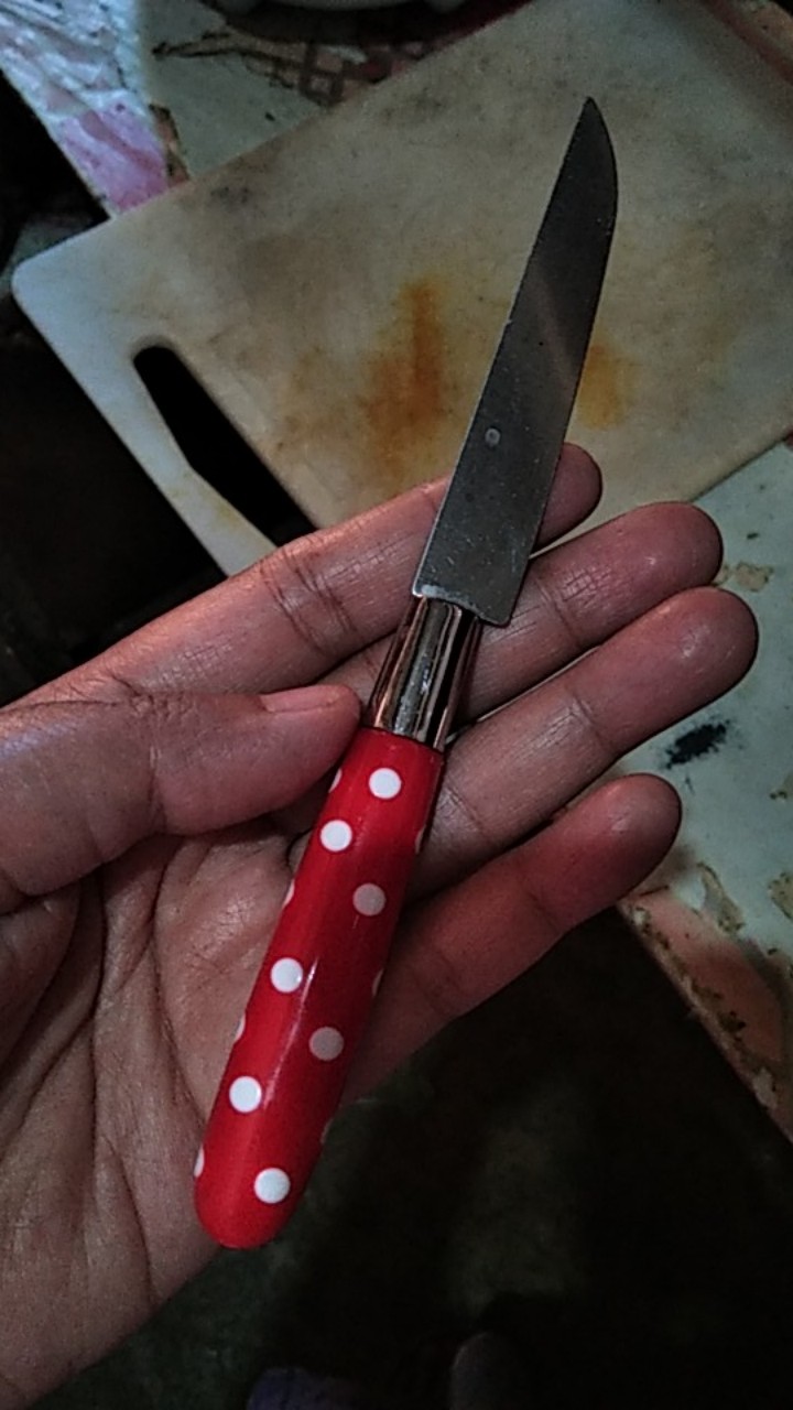Pisau Buah Polkadot Pisau Dapur Kupas Buah Sayur Tajam Bagus