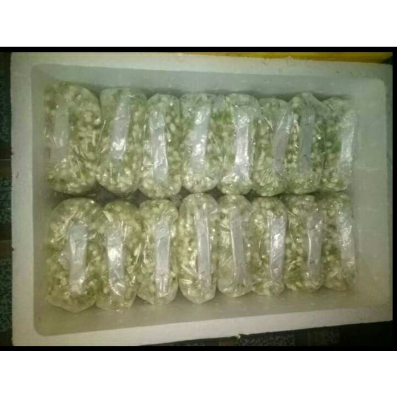 melati tabur dan ronce 250 gram asli flowers jasmine original fresh