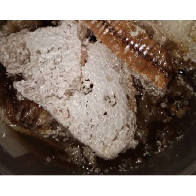 

Madu manis asli