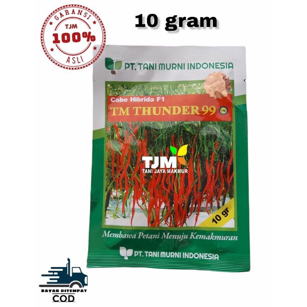 TM Thunder 99 Cabe Hibrida F1 10 gram/Benih cabai keriting Tani Murni/benih cabe keriting Tani Murni