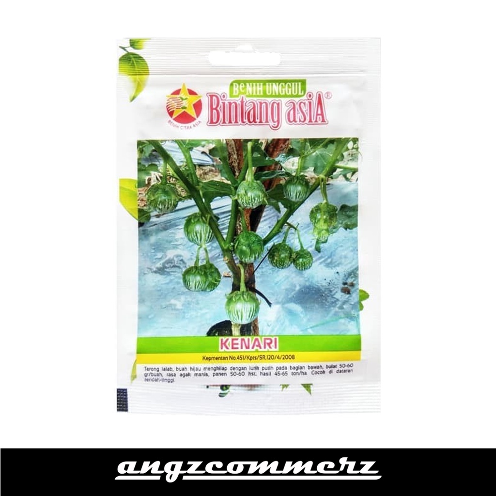 BINTANG ASIA Bibit Terong Hijau Kenari 325 Seeds