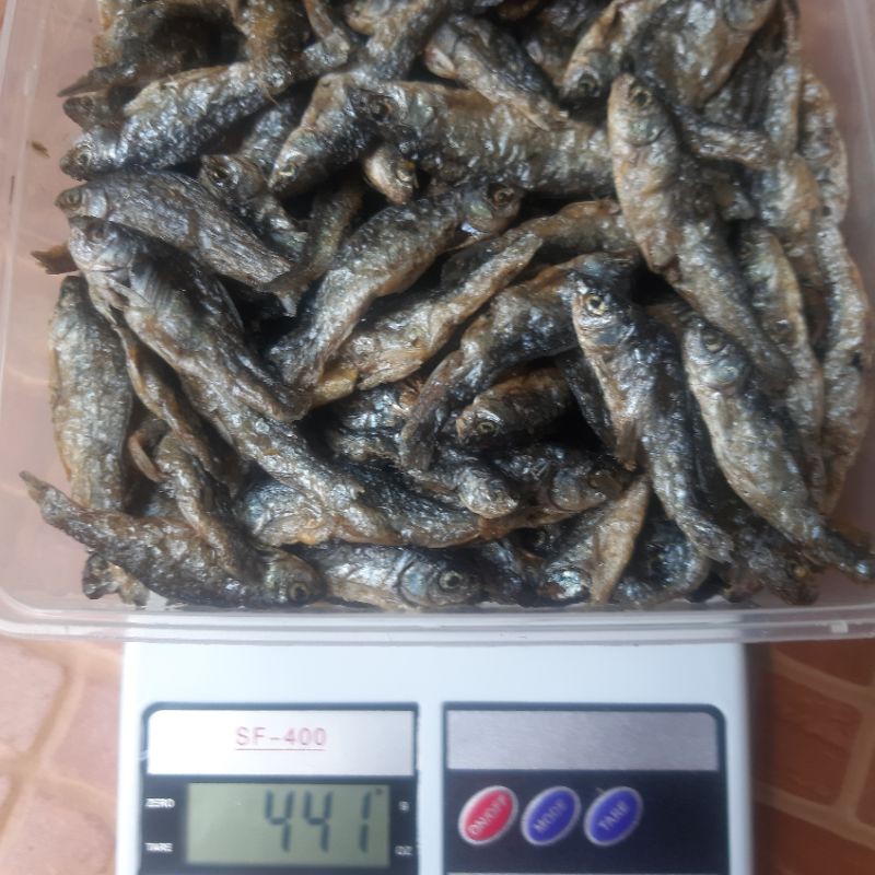 

Ikan Bilih/Bilis