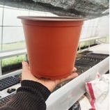 pot nursery UK 18 warna coklat