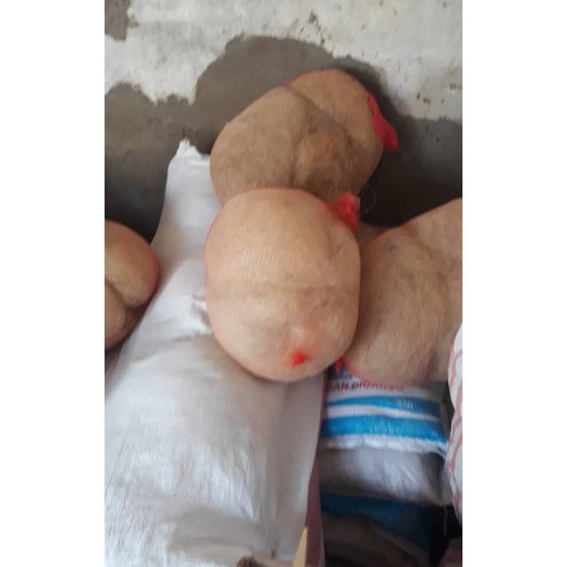 Jaring nelayan bekas