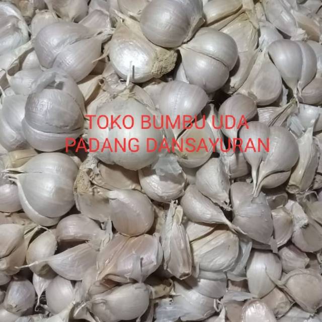

BAWANG PUTIH KATING