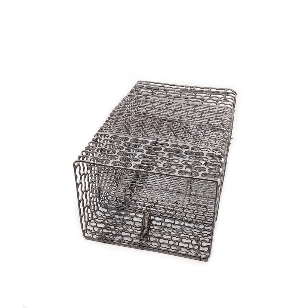 PERANGKAP TIKUS BESI MASSAL JEBAKAN TIKUS BESI MASAL