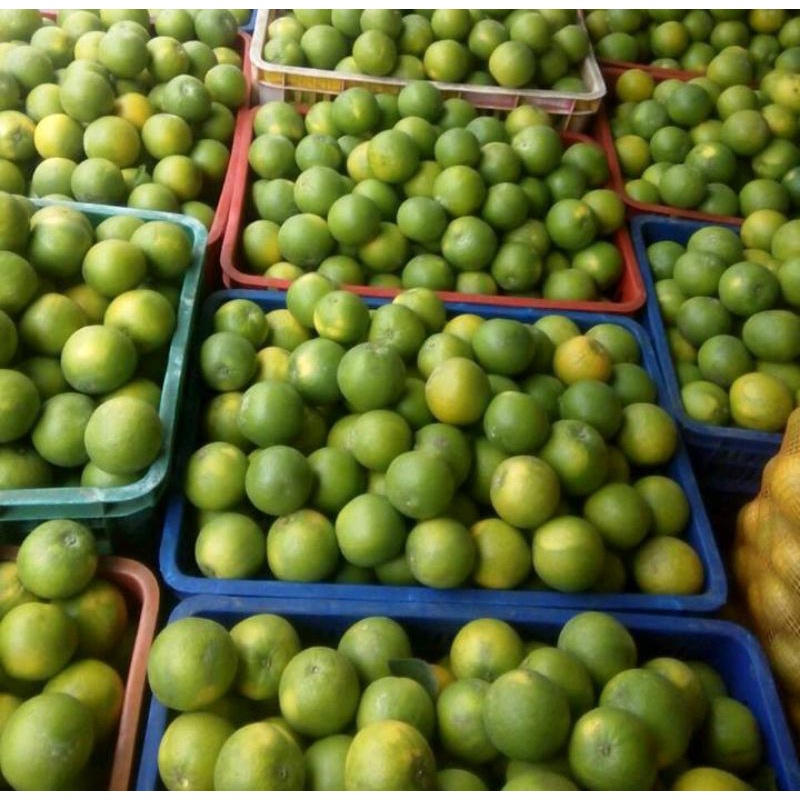 

JERUK segar (1kg)