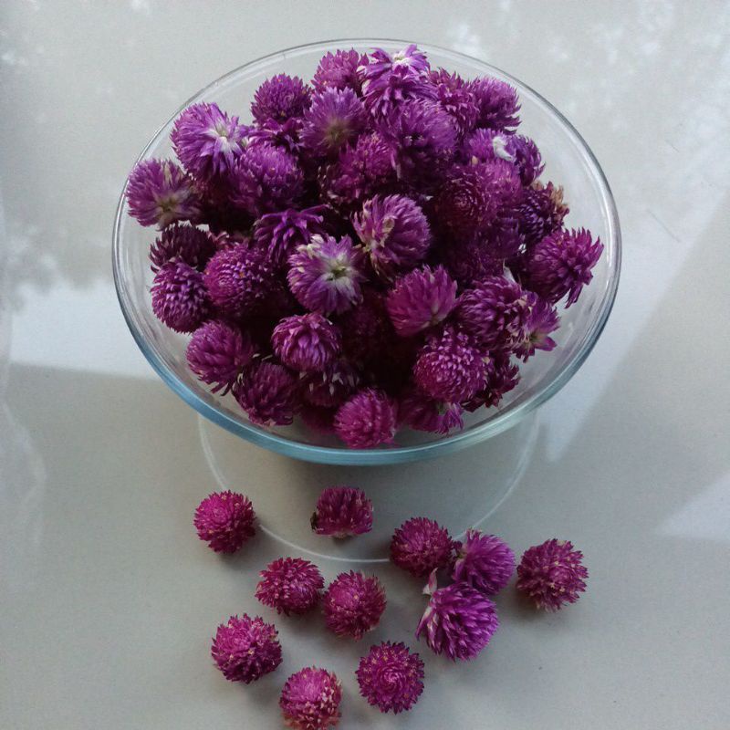 

GLOBE AMARANTH TEA / bunga kenop