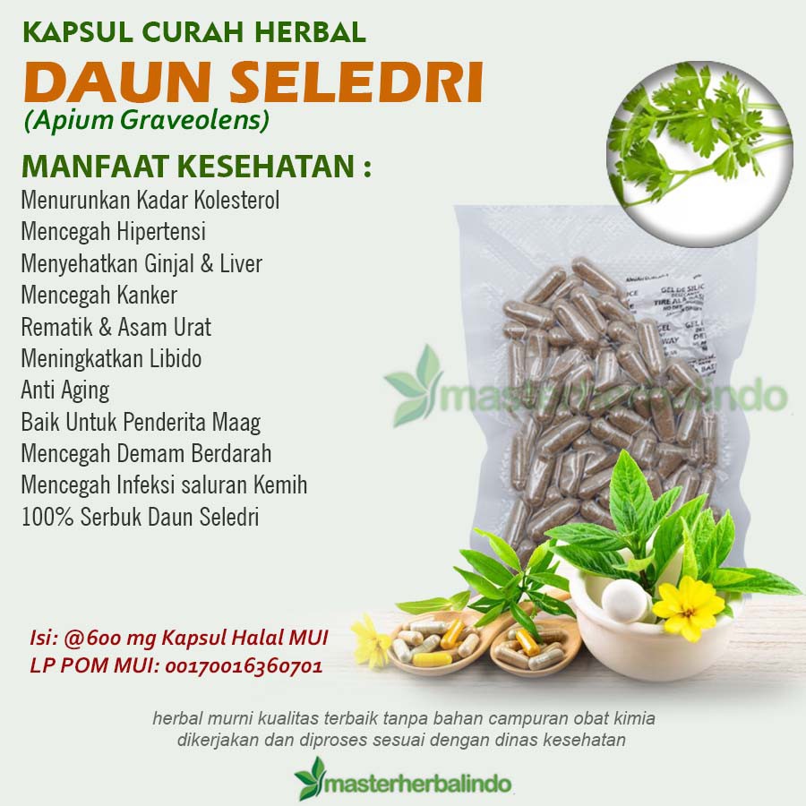 

DAUN SELEDRI Kapsul Curah Herbal 200x600mg Hipertensi Rematik Anti Aging