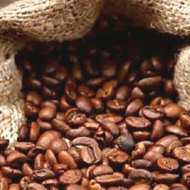 

premium beans ---NEW---