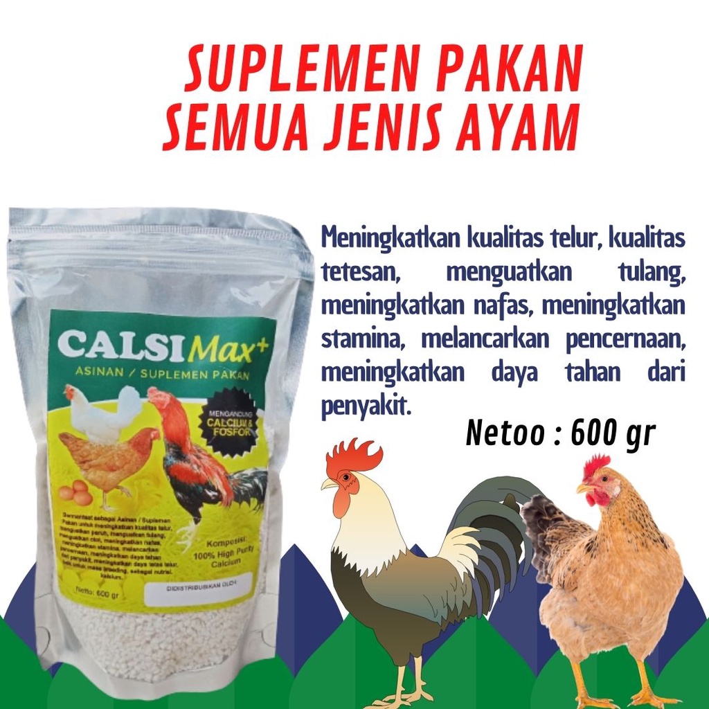 High Calsium & Fosfor pedaging Meningkatkan  produktivitas & kualitas telur, Suplemen vitamin ayam B