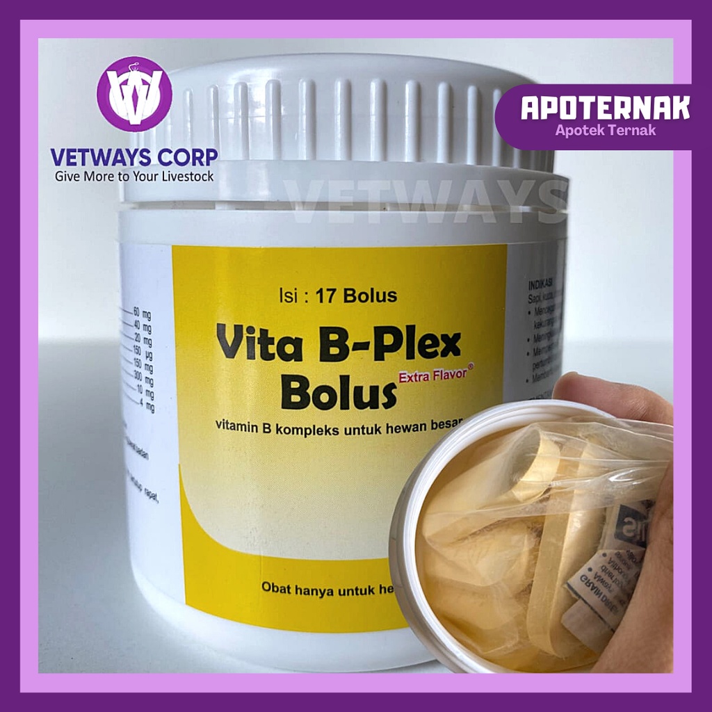 VITA B PLEX @1 Bolus | Vitamin B1 B2 B6 B12 (B Komplek) Untuk Sapi Kambing Domba Kuda Babi | MEDION | Apoternak