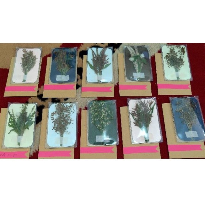 

Bunga Kering utk Souvenir + Amplop Klasik