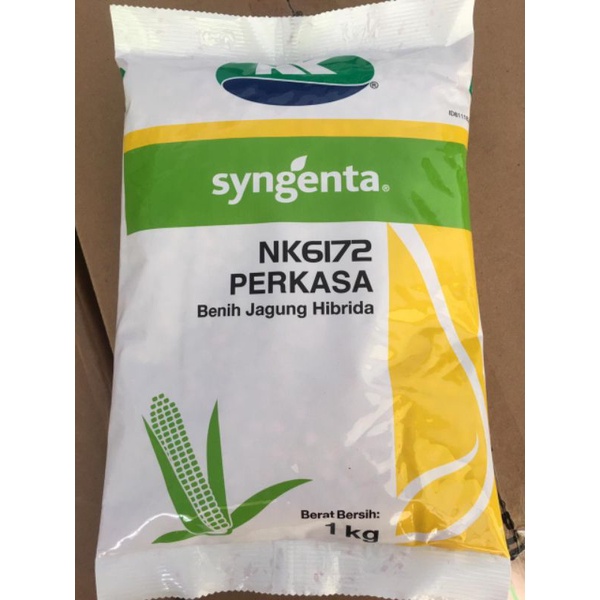 Benih Jagung SYNGENTA NK6172 PERKASA