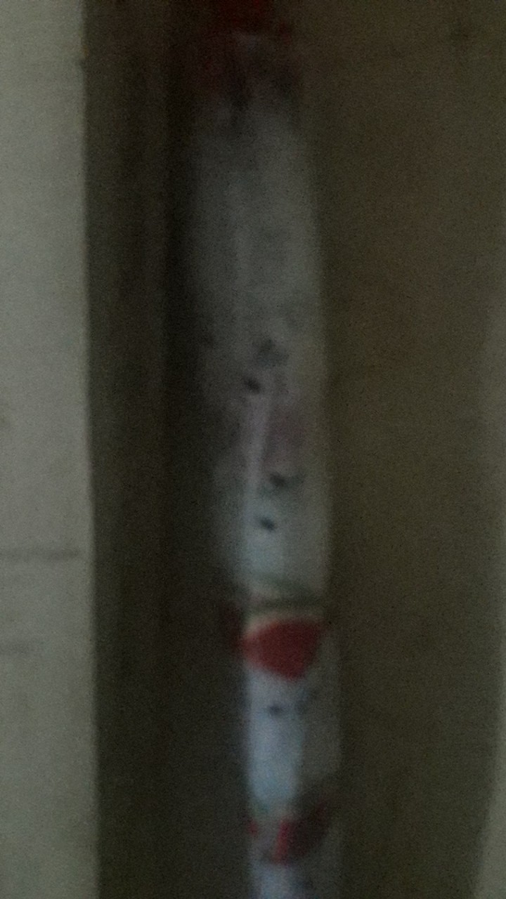 Payung Standar Tongkat Motif Buah Nagoya 005ff