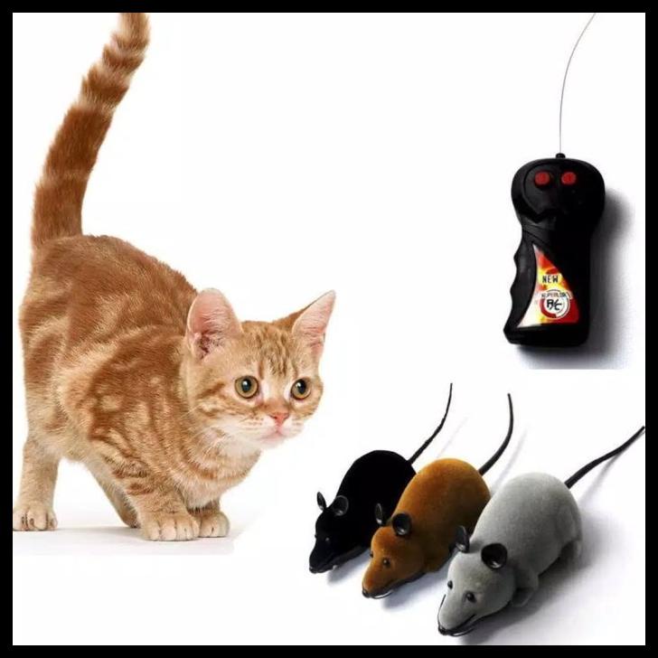 Mainan Kucing Persia Peaknose Kampung Dome Anjing Tikus Remote Control