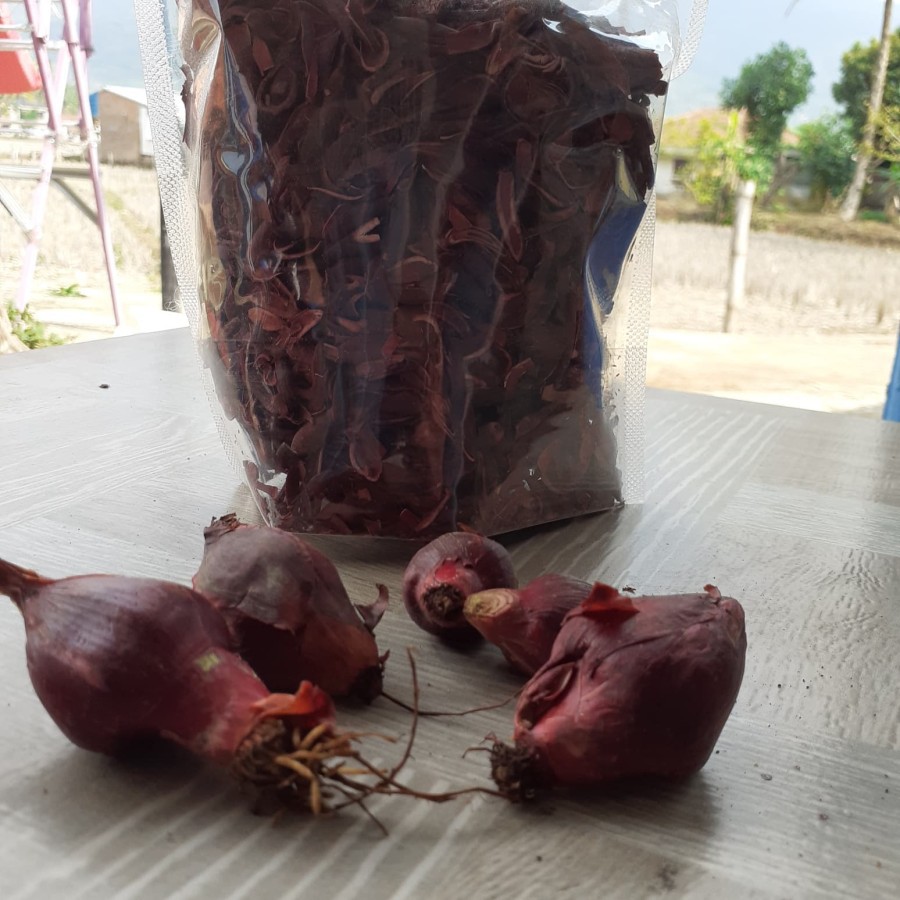 

[COD] Agen Jual Bawang Dayak Kalimantan Kering Rajang Asli Hutan Paling Murah Siap Konsumsi